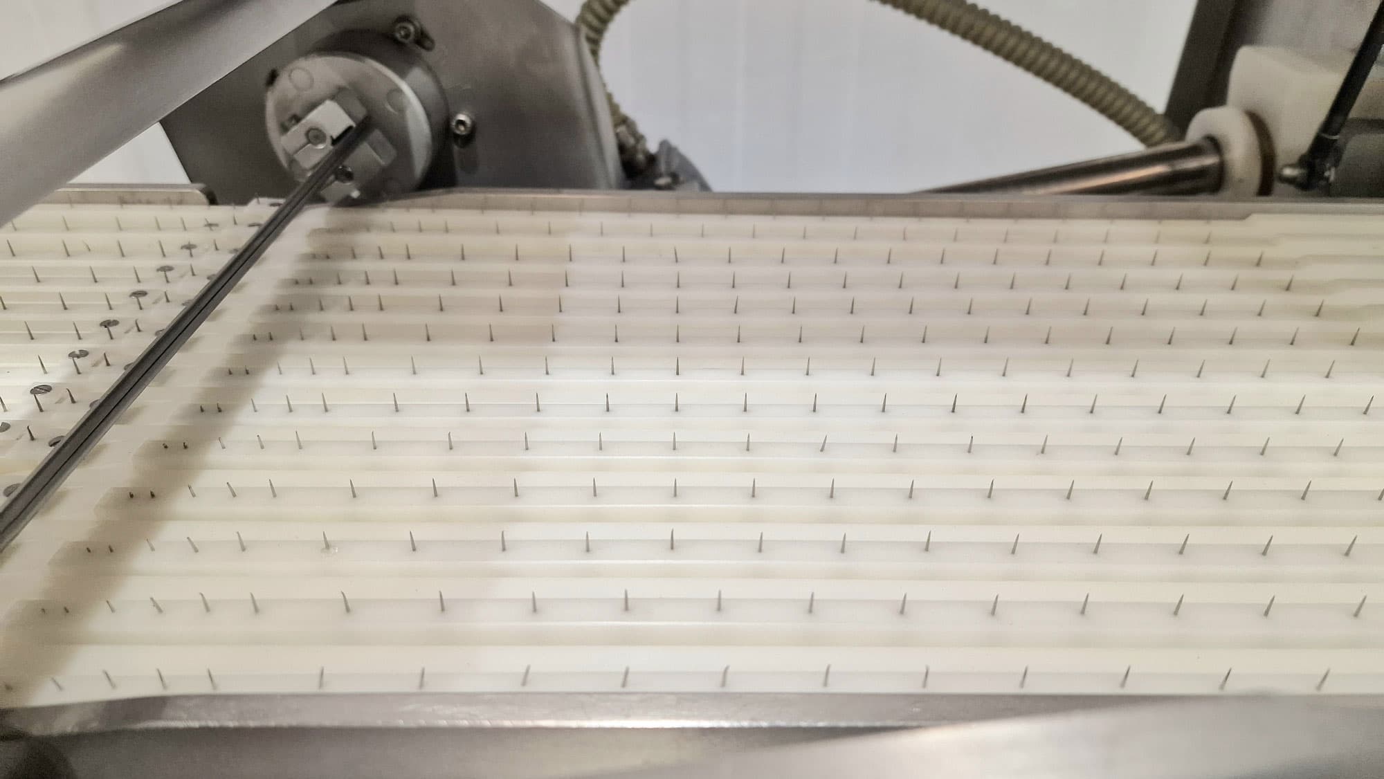 LONCHEADORA PARA SALMÓN GEBA WSM 75 miniatura 10