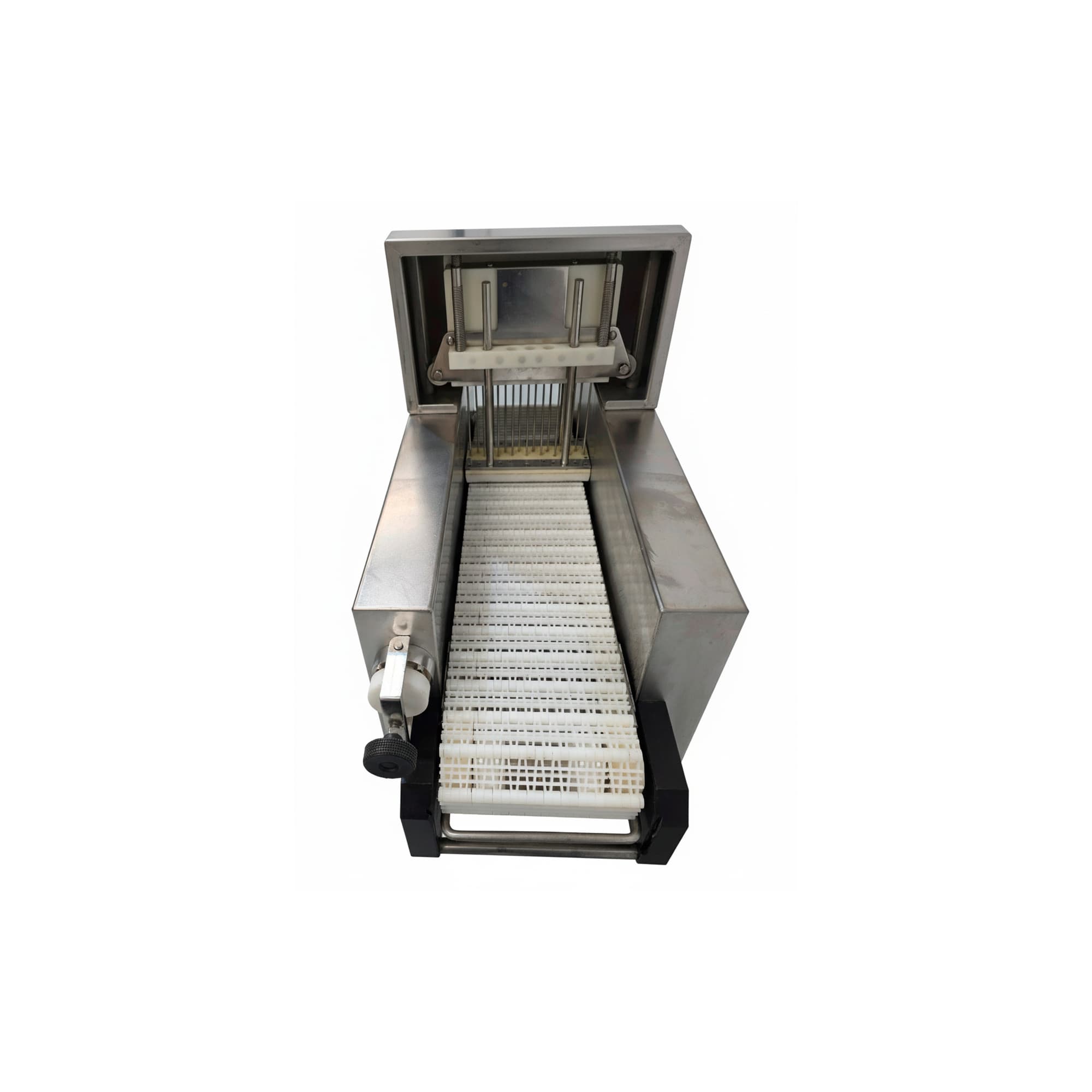 INYECTORA SALMUERA 07 GÜNTHER, mod. PI17 miniatura 5