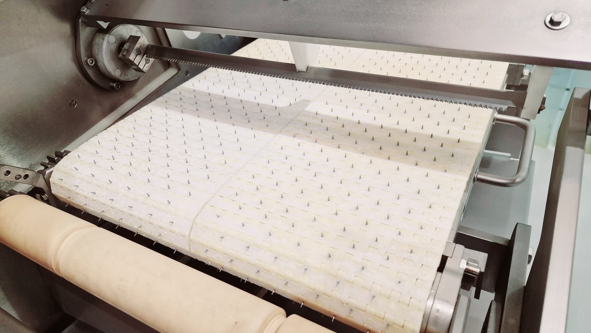 LONCHEADORA AUTOMÁTICA DE SALMÓN GEBA  GPS200 miniatura 10